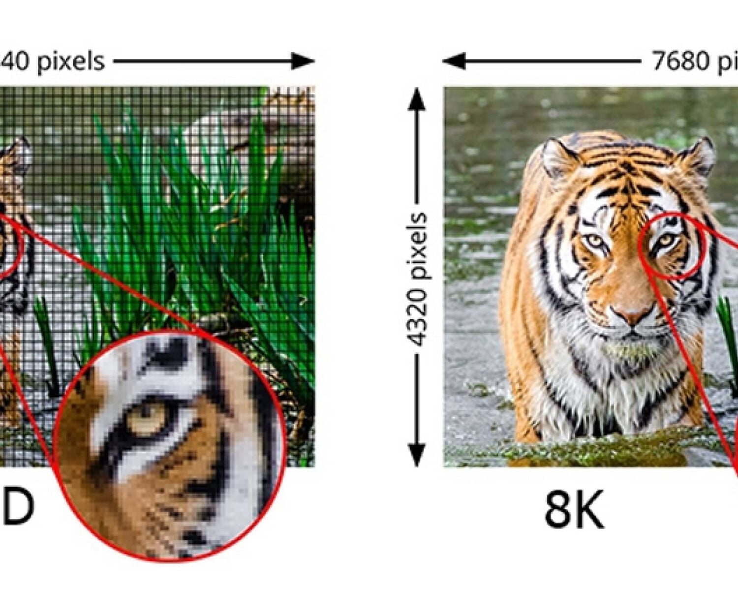 A graphic showing the detail of 8K